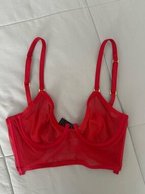La Perla Sheer Mesh Red Longline Underwire Bra with Gold Hardware